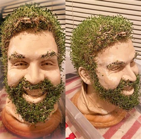 personalized chia pet